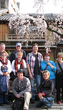 Japan Cherry Blossom Tour Photo