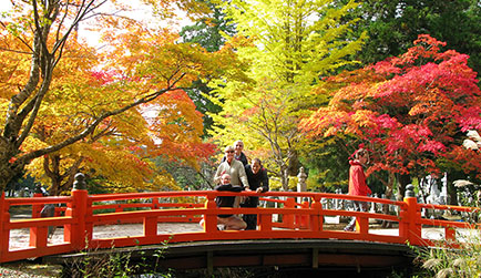 Japan Autumn Crimson Leaf Tour