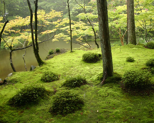 Saiho-ji Garden